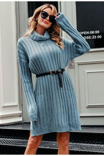 Knitted Turtle Neck Sweater Dress - Lady Galore