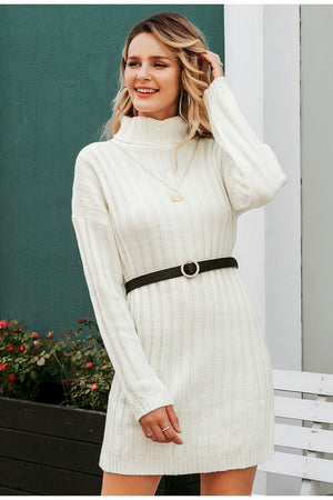 Knitted Turtle Neck Sweater Dress - Lady Galore